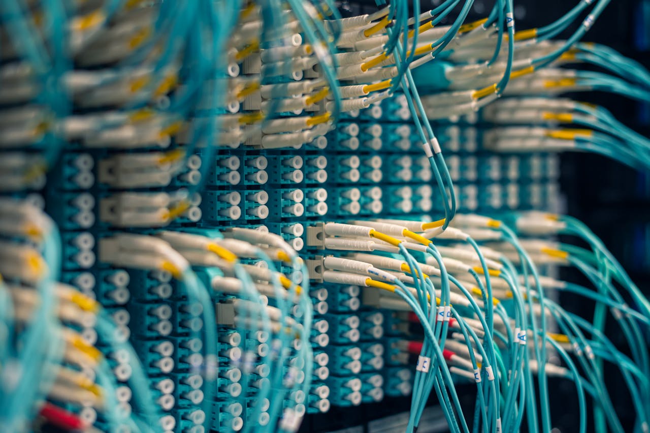 Close-up of data network cables connected to a patch panel in a server room.